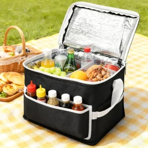 reusable cooler