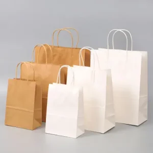 paper bags with handles wholesale