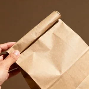 eco friendly paper shopping bags