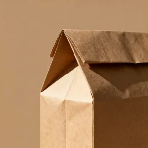 paper shopping bags wholesale