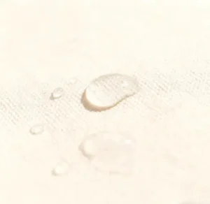 The Structured Tote Bag