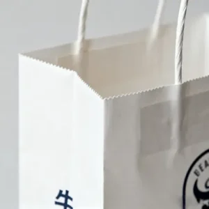 eco friendly white gift bags