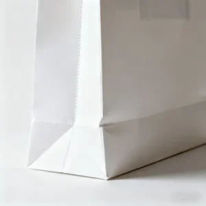 eco friendly white paper bags
